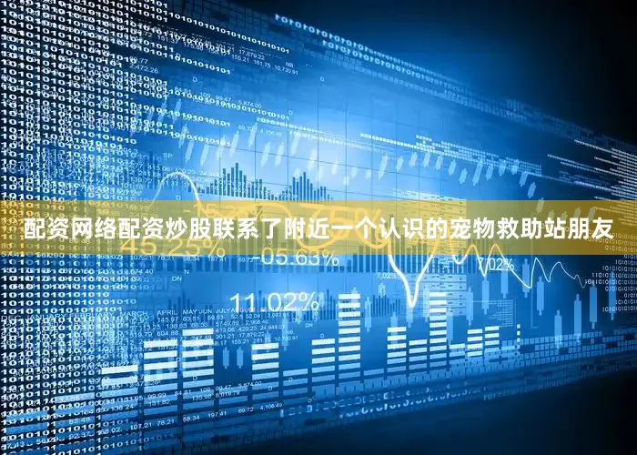 配资网络配资炒股联系了附近一个认识的宠物救助站朋友