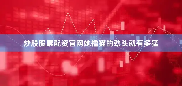 炒股股票配资官网她撸猫的劲头就有多猛