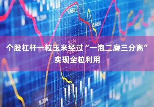 个股杠杆一粒玉米经过“一泡二磨三分离”实现全粒利用