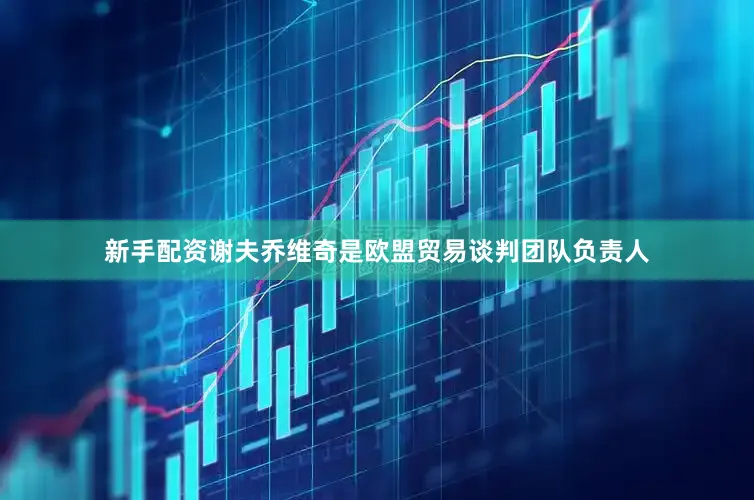 新手配资　　谢夫乔维奇是欧盟贸易谈判团队负责人