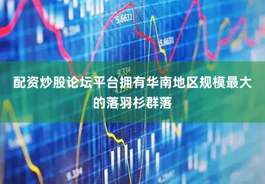 配资炒股论坛平台拥有华南地区规模最大的落羽杉群落