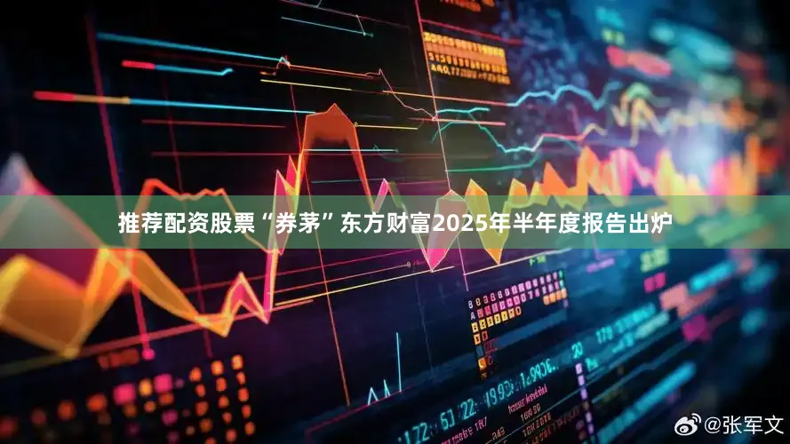 推荐配资股票“券茅”东方财富2025年半年度报告出炉
